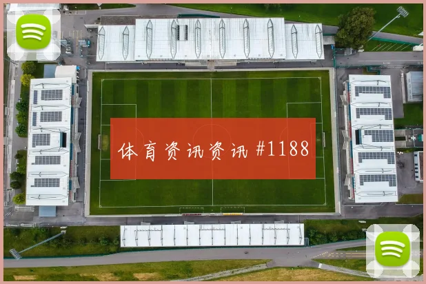 莱奥2026世界杯大赛经验价值