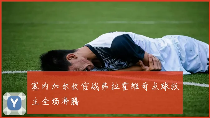 塞内加尔收官战弗拉霍维奇点球救主全场沸腾