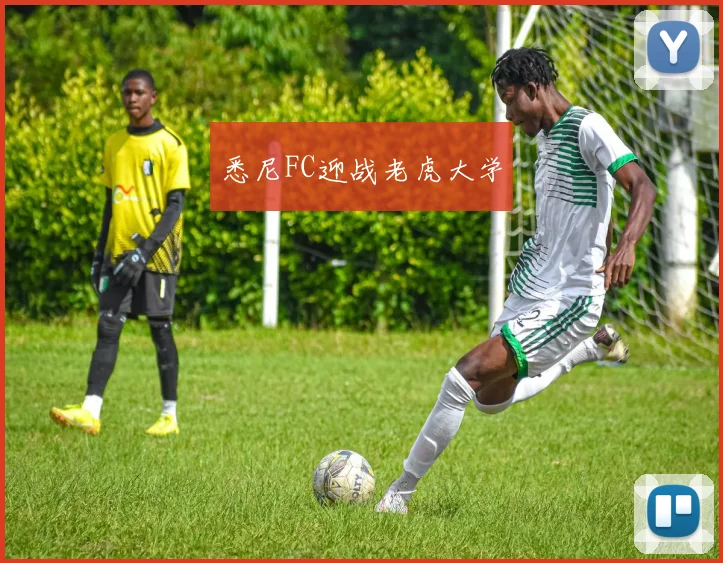 悉尼FC迎战老虎大学