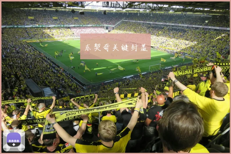 东契奇关键封盖