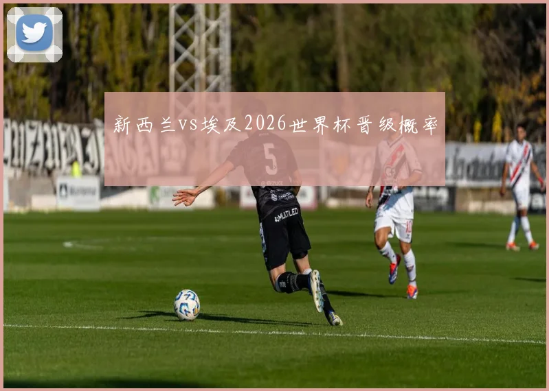 新西兰vs埃及2026世界杯晋级概率