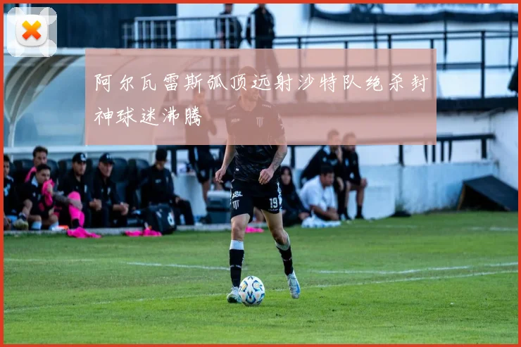 阿尔瓦雷斯弧顶远射沙特队绝杀封神球迷沸腾