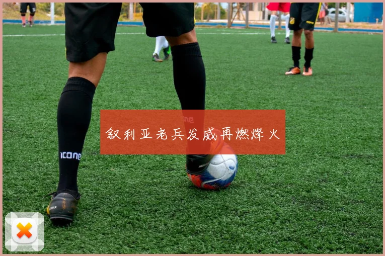 叙利亚老兵发威再燃烽火