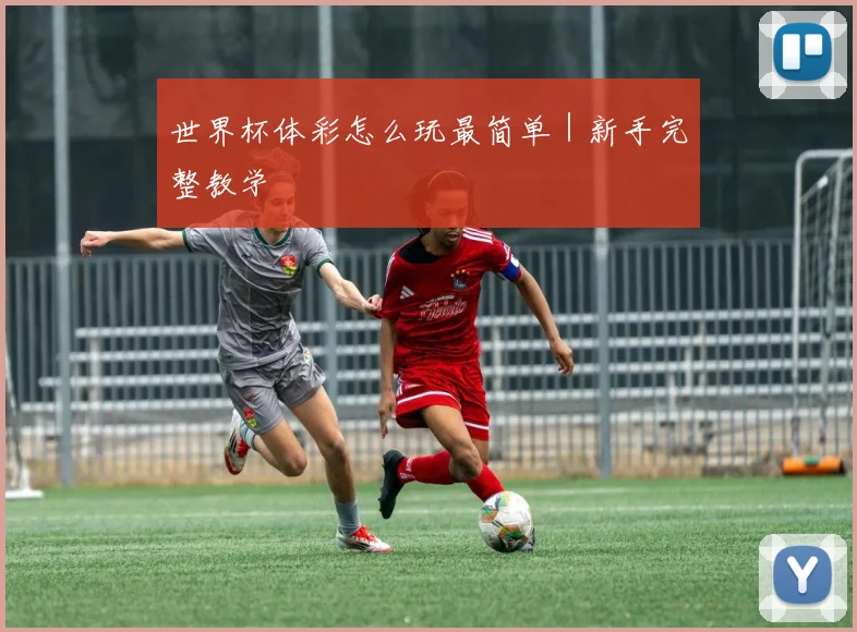 世界杯体彩怎么玩最简单｜新手完整教学