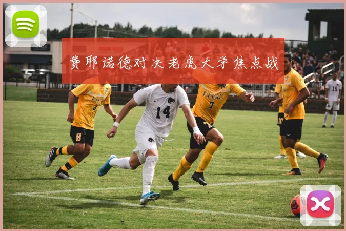 费耶诺德对决老虎大学焦点战