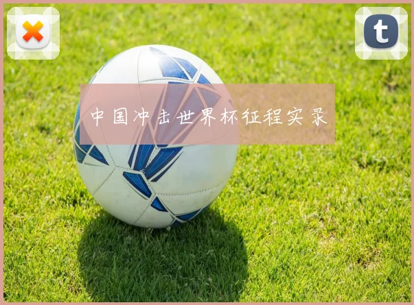 中国冲击世界杯征程实录