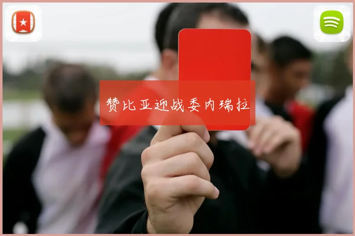 赞比亚迎战委内瑞拉