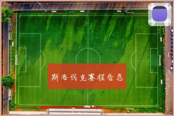 斯洛伐克赛程告急