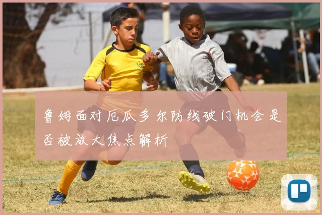 鲁姆面对厄瓜多尔防线破门机会是否被放大焦点解析