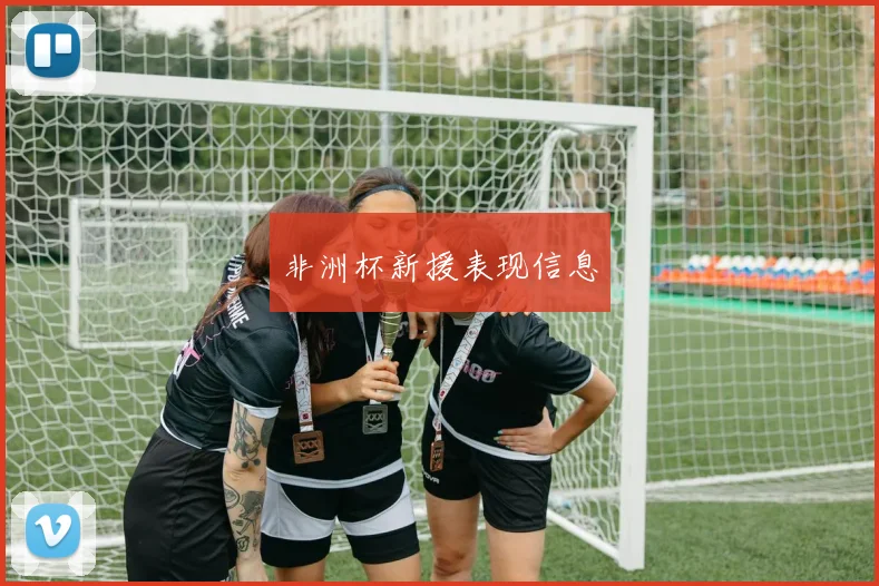 非洲杯新援表现信息