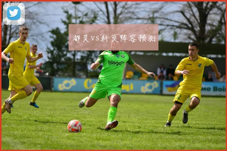 都灵vs科莫阵容预测