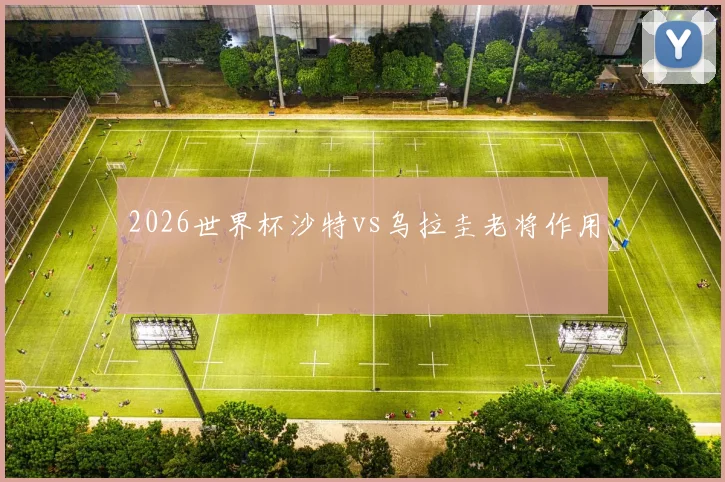 2026世界杯沙特vs乌拉圭老将作用