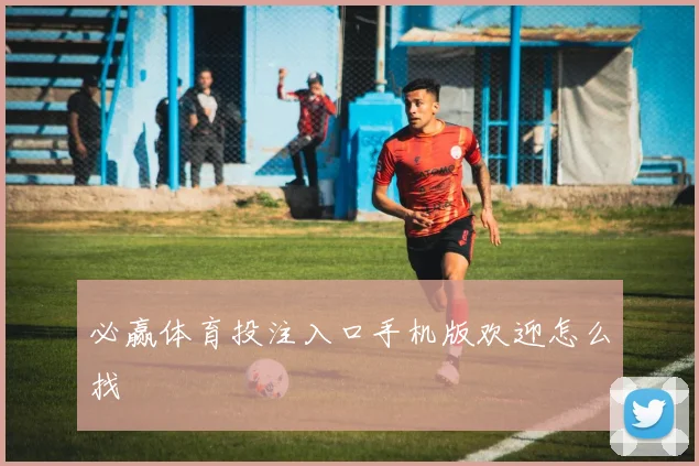 必赢体育投注入口手机版欢迎怎么找