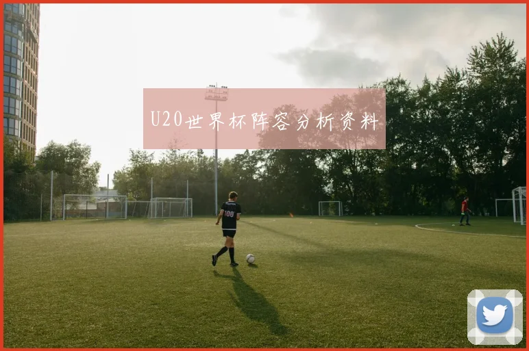 U20世界杯阵容分析资料